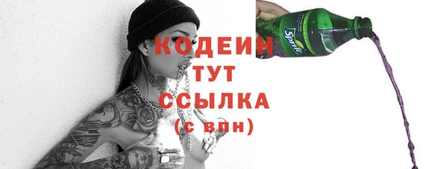 apvp Богданович